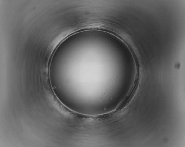 X0000112061234200908041207