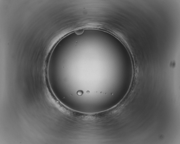 X0000112061235200908041207