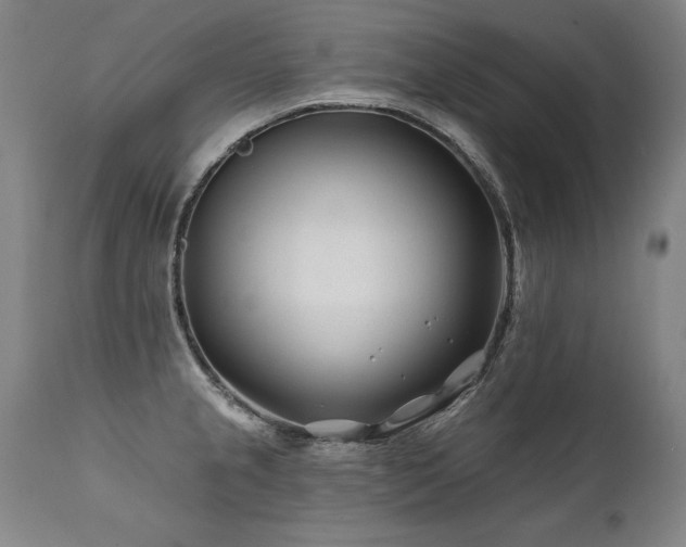 X0000112061237200908041207