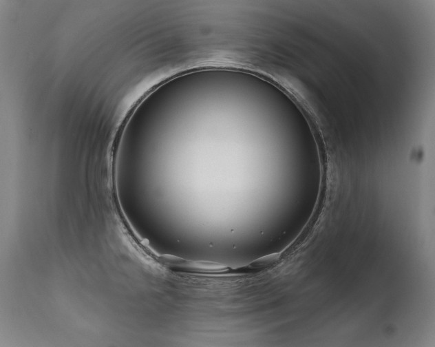 X0000112061238200908041207