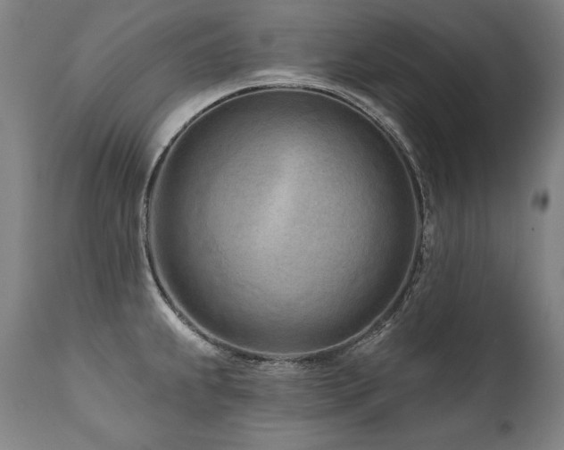 X0000112061239200908041207
