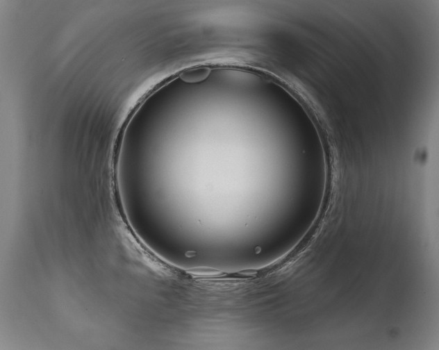 X0000112061240200908041207