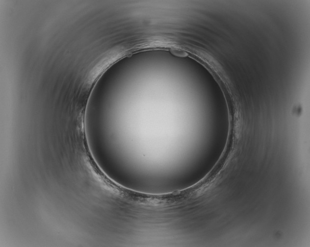 X0000112061241200908041207