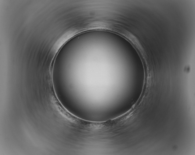 X0000112061242200908041207