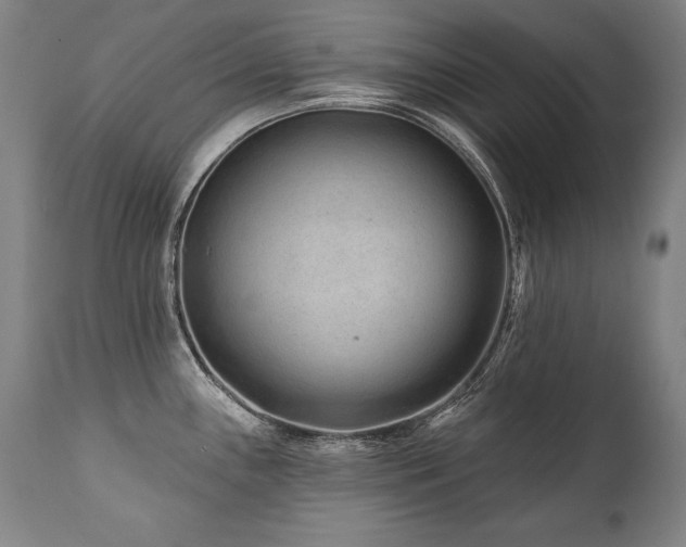 X0000112061243200908041207