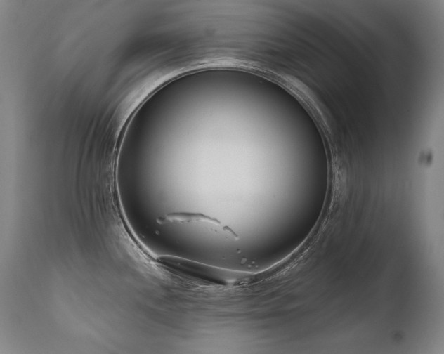 X0000112061244200908041207