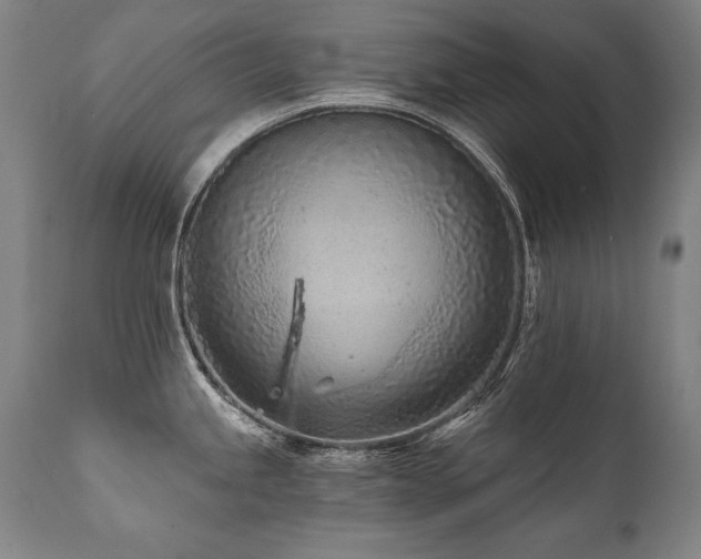 X0000112061245200908041207