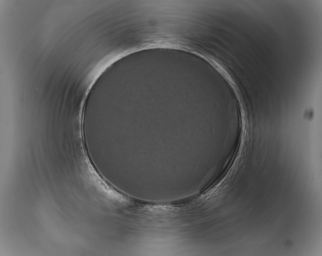 X0000112061246200908041207