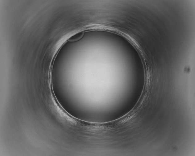X0000112061247200908041207