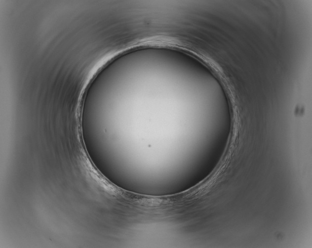 X0000112061248200908041207