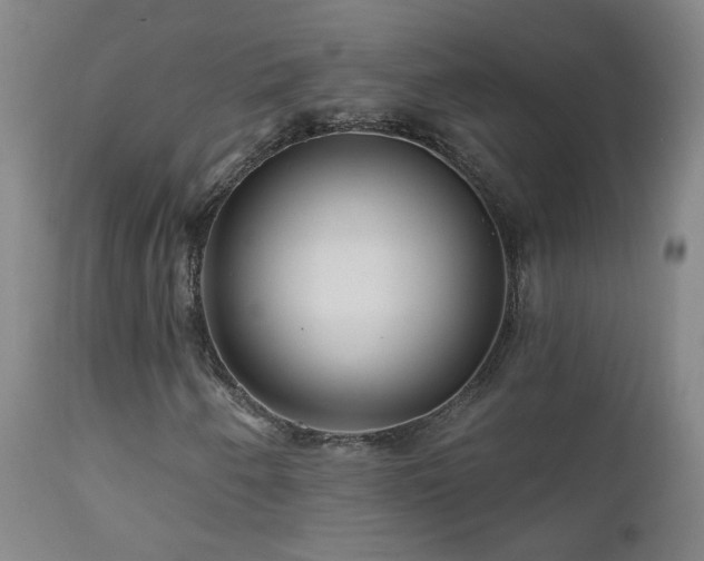 X0000112061250200908041206
