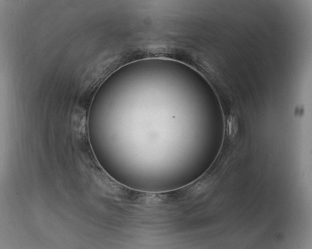X0000112061251200908041206