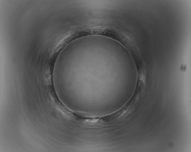 X0000112061252200908041206