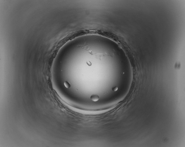 X0000112061253200908041206