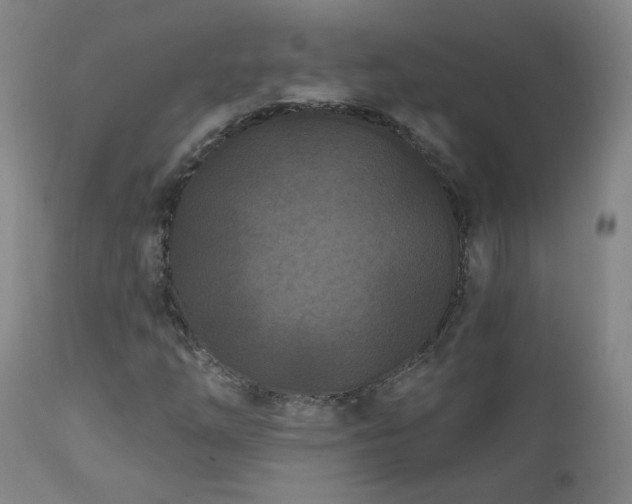 X0000112061254200908041206