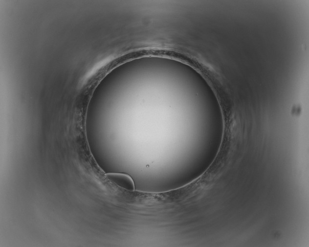 X0000112061255200908041206