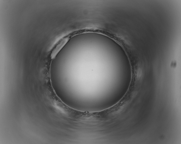 X0000112061256200908041206