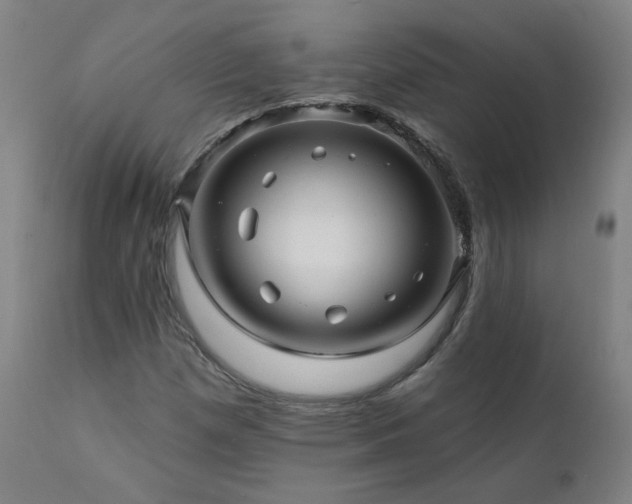 X0000112061257200908041206