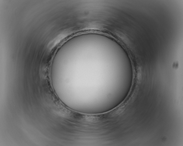 X0000112061258200908041206