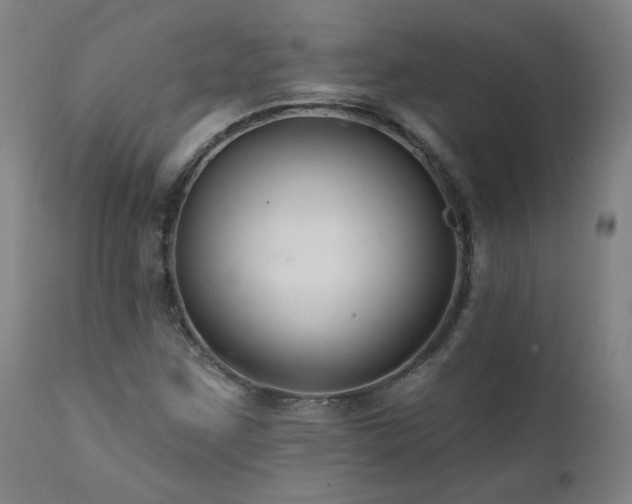 X0000112061259200908041206