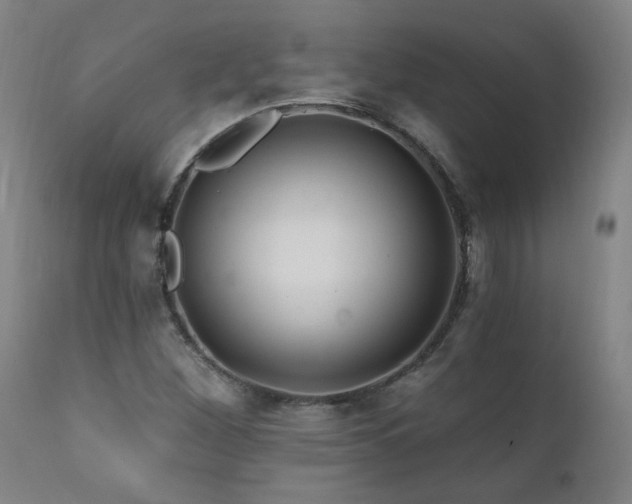 X0000112061260200908041206