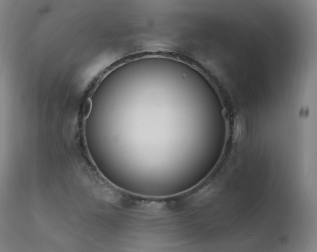 X0000112061261200908041206