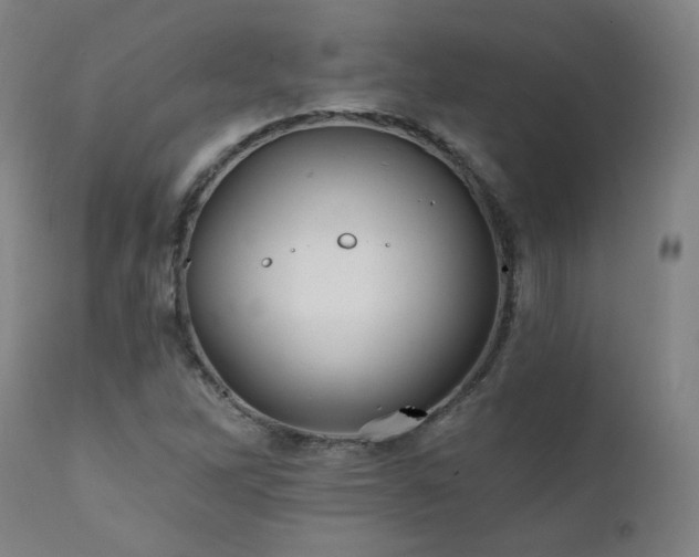 X0000112061262200908041206