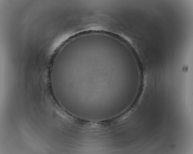 X0000112061263200908041206