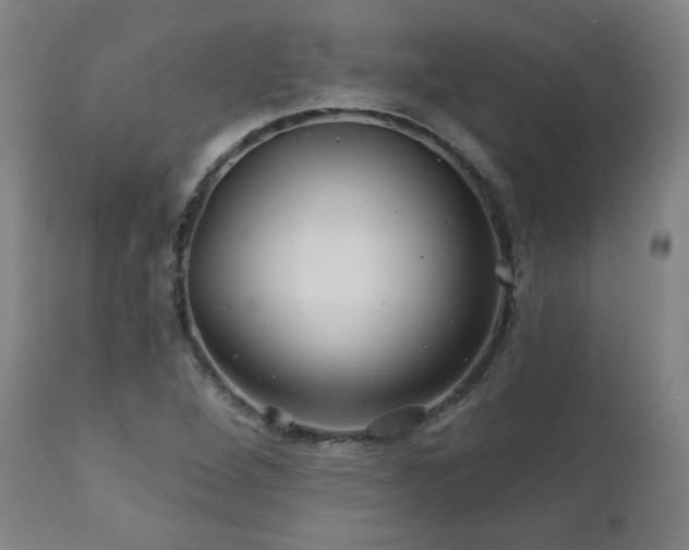 X0000112061264200908041206