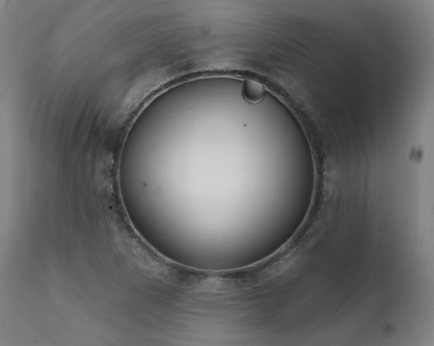 X0000112061265200908041206