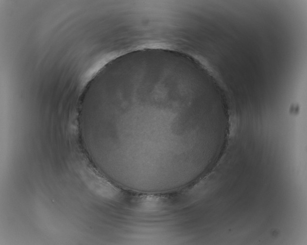 X0000112061266200908041206