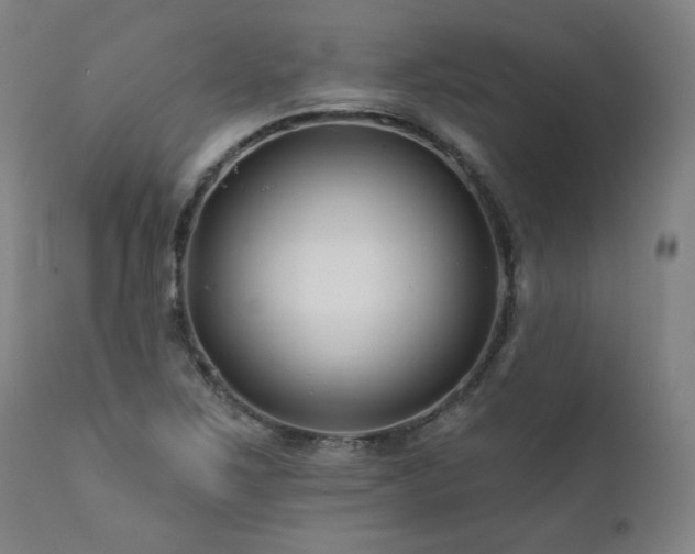 X0000112061267200908041206