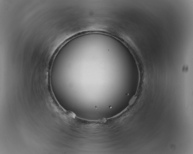 X0000112061268200908041206