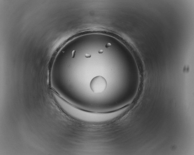 X0000112061269200908041206