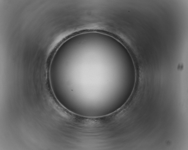 X0000112061270200908041206