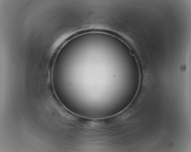 X0000112061271200908041206