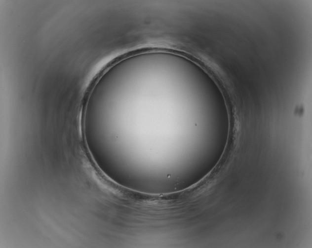 X0000112061272200908041206