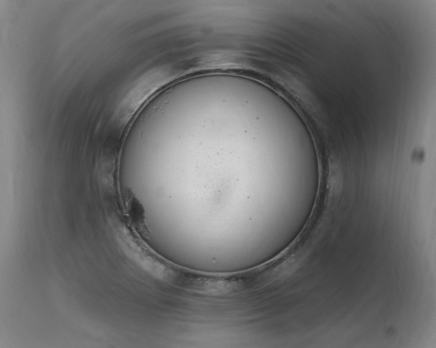 X0000112061273200908041206