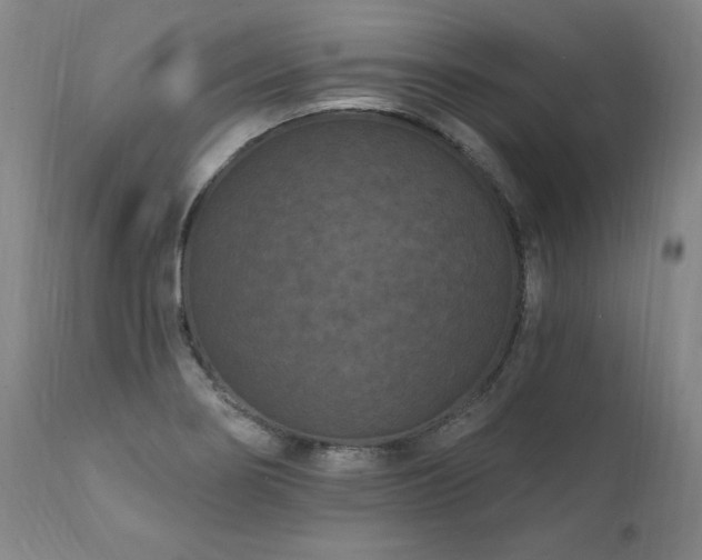 X0000112061274200908041206
