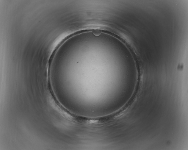 X0000112061275200908041206