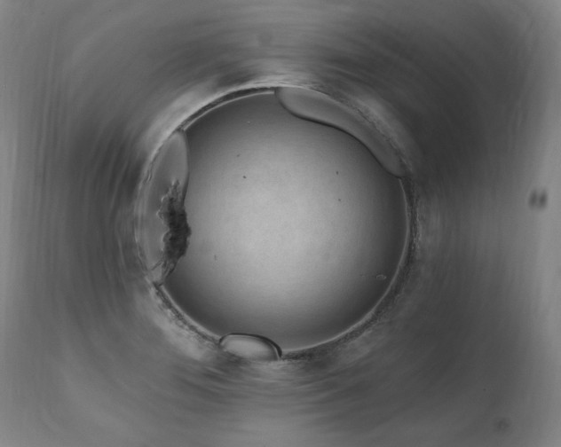 X0000112061276200908041206