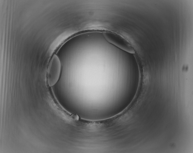 X0000112061277200908041206