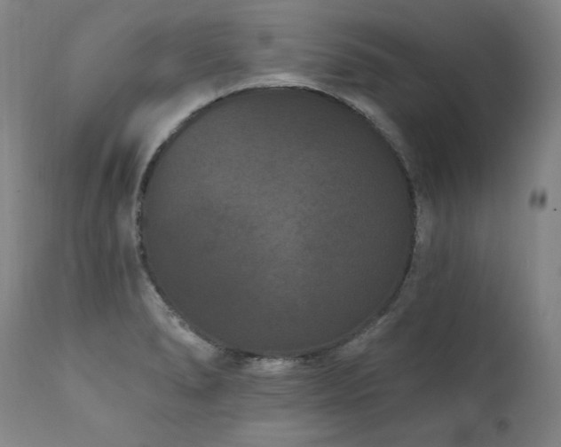 X0000112061278200908041206