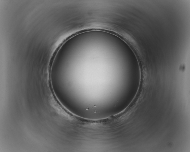 X0000112061280200908041206