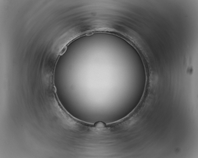 X0000112061281200908041206