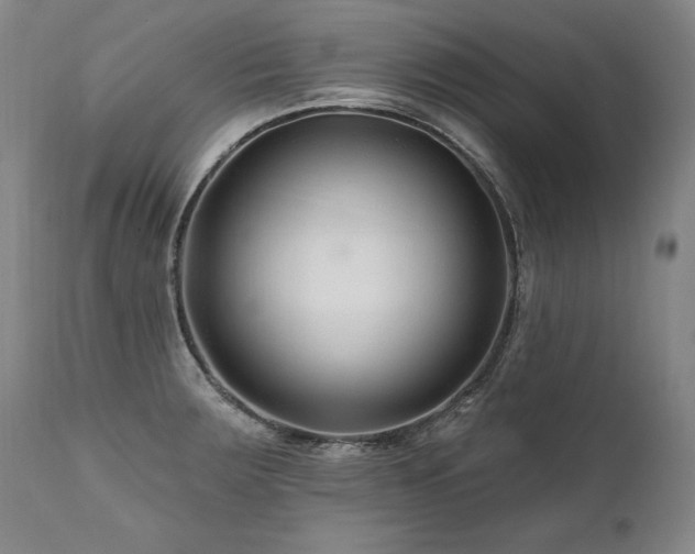 X0000112061283200908041206
