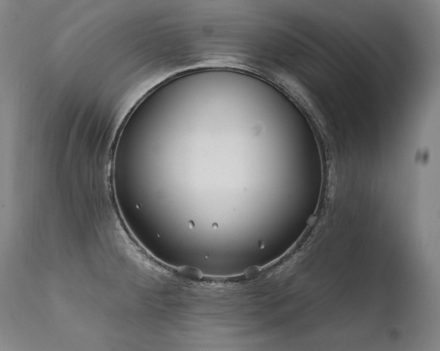 X0000112061284200908041206