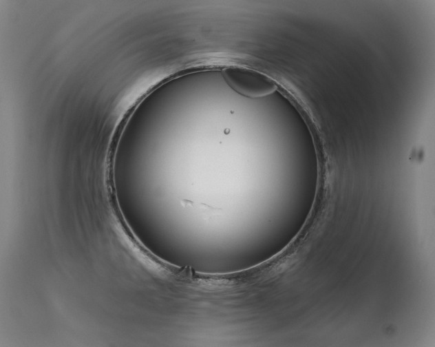 X0000112061285200908041205