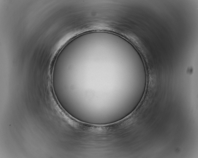 X0000112061286200908041205