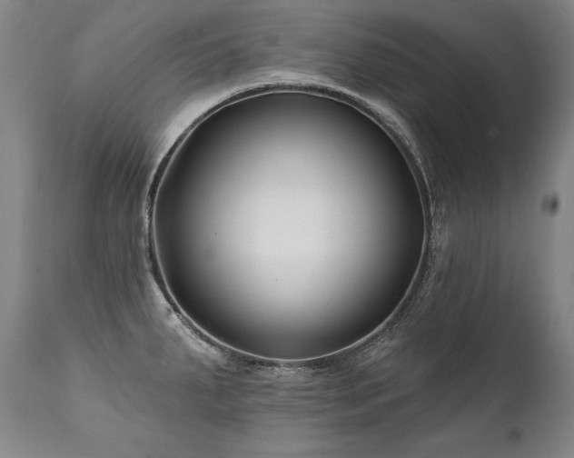 X0000112061287200908041205